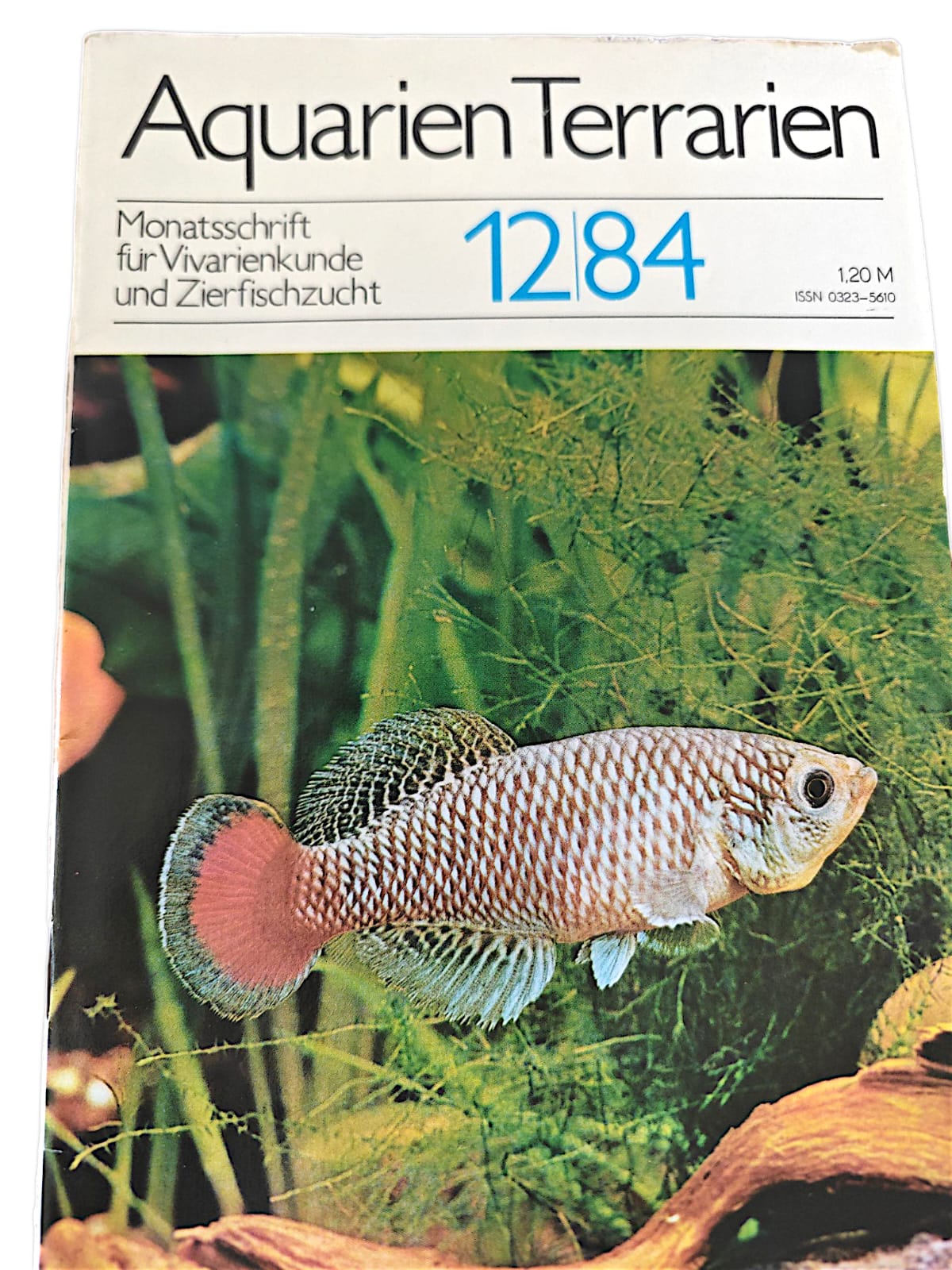 Aquarien Terrarien Monatszeitschrift 12|84 