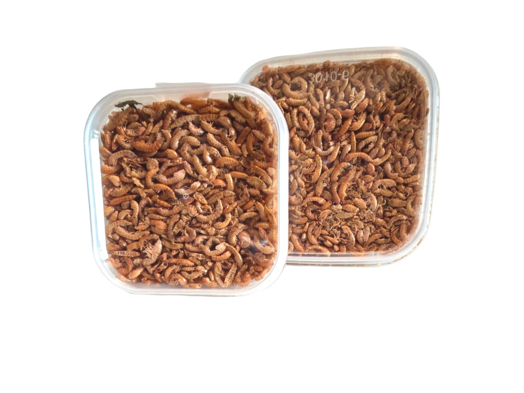 Gammarus getrocknet - Proteine und Minerale
