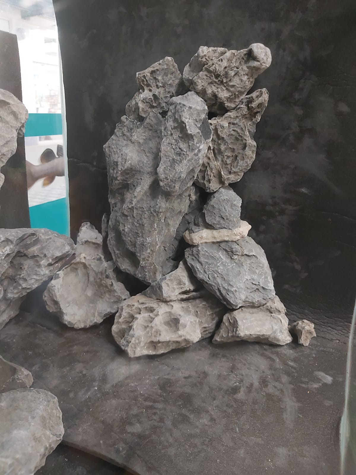 Steinlandschaften und Hügel aufbauen im Aquarium Steinlandschaften und Hügel aufbauen im Aquarium