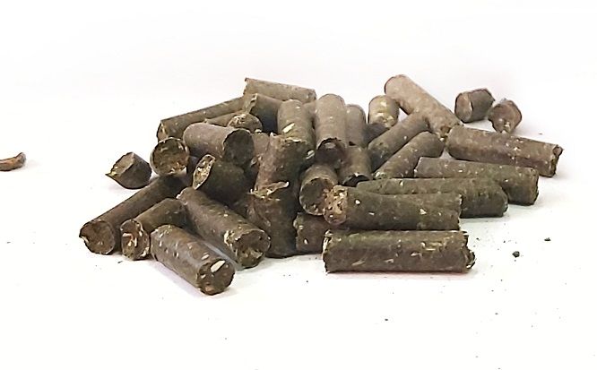 Löwenzahnblatt Sticks - Schneckensticks im Aquarium