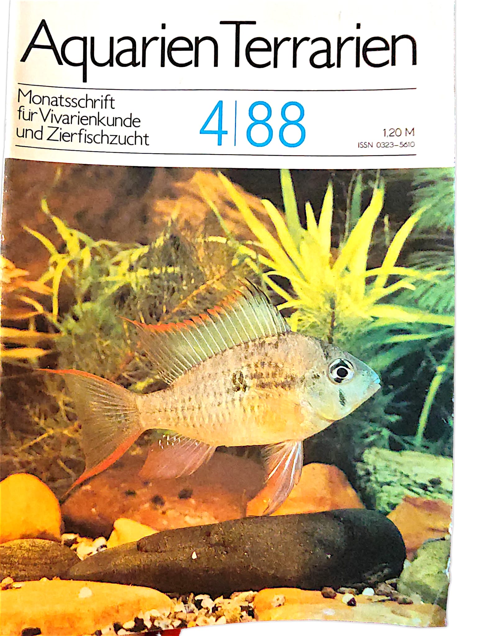 Aquarien Terrarien Monatszeitschrift 4|88