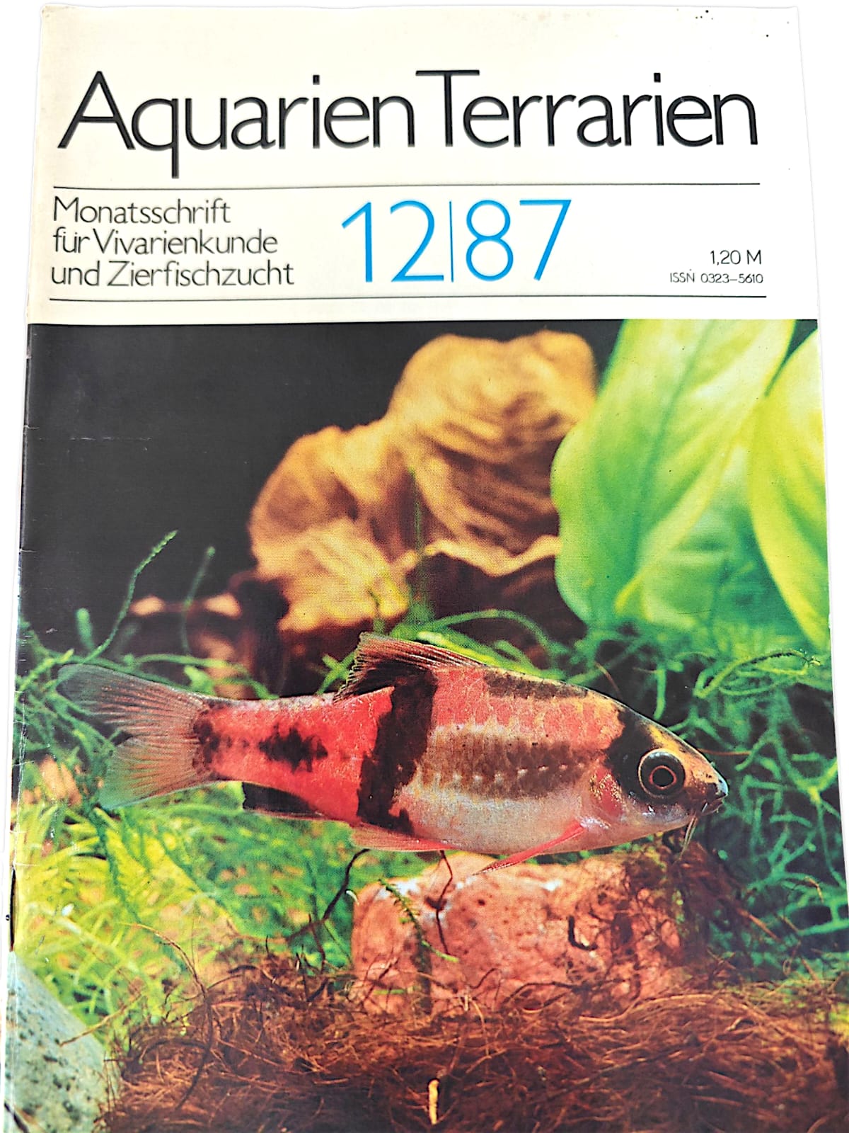 Aquarien Terrarien Monatszeitschrift 12|87