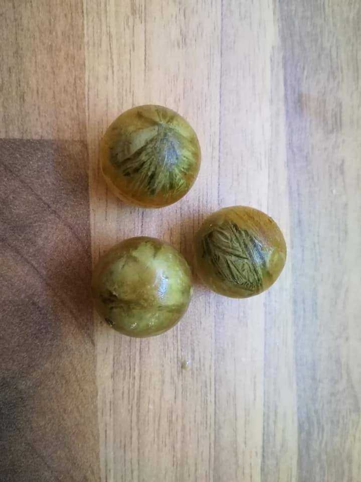Rezept " Kräuter Eisbombe" - für Garnelen, Krebse und Schnecken