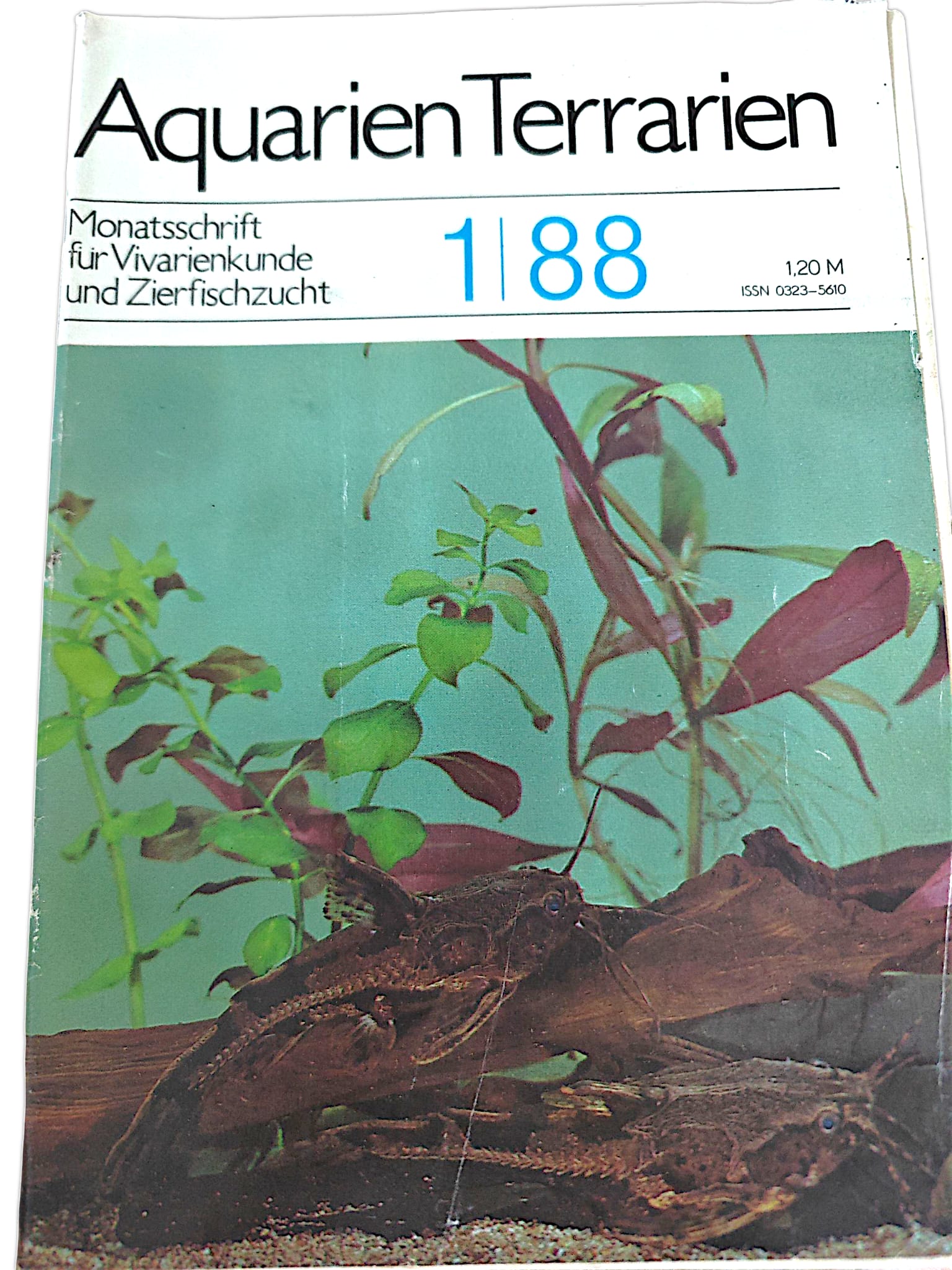 Aquarien Terrarien Monatszeitschrift 1|88