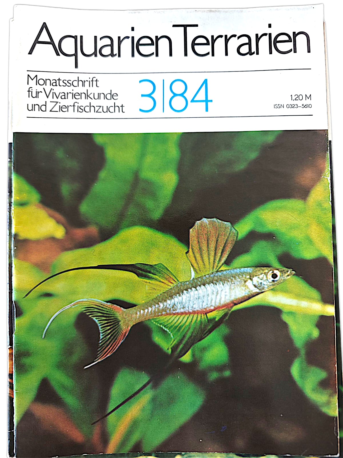 Aquarien Terrarien Monatszeitschrift 3|84