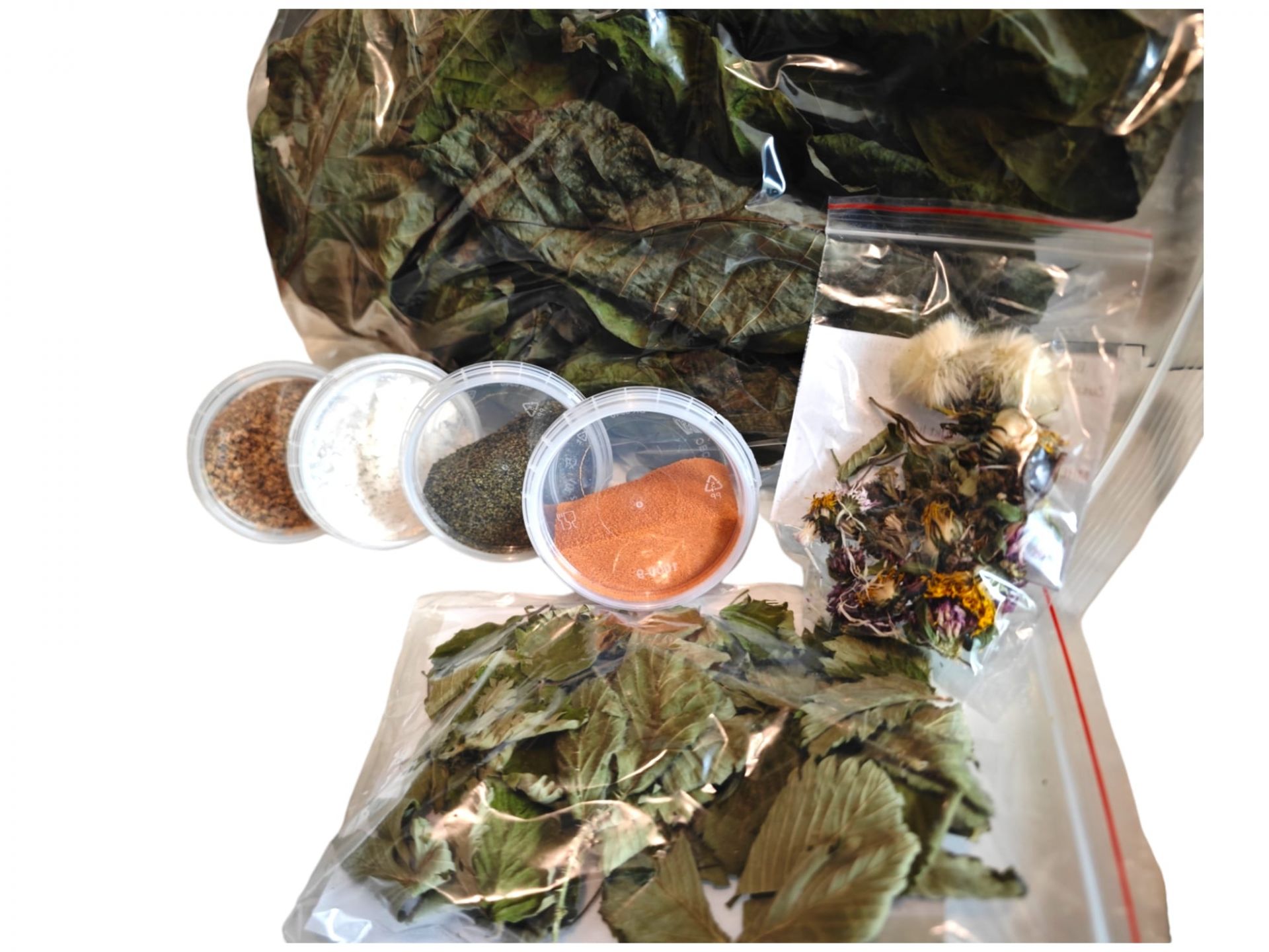 Garnelenlolly - DIY Futter Kit 