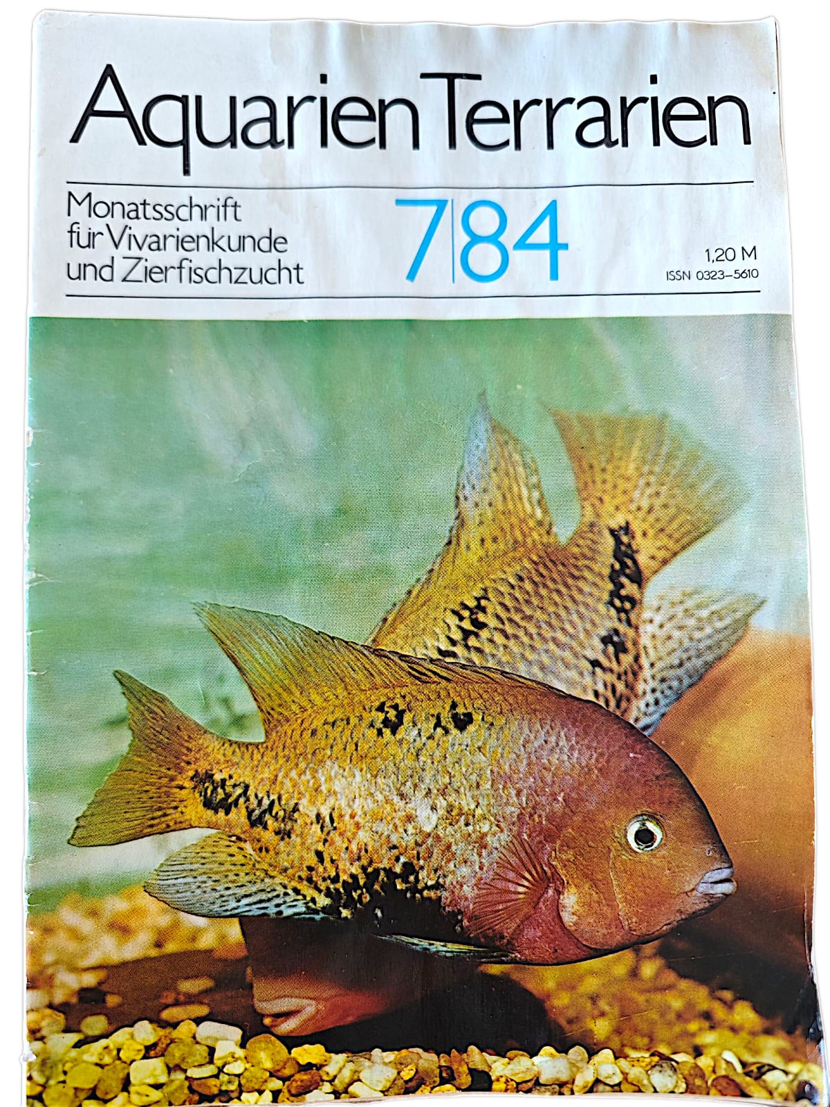 Aquarien Terrarien Monatszeitschrift 7|84