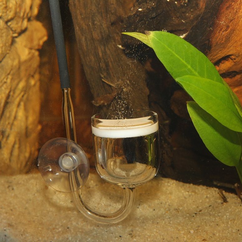 CO2 im Süsswasser Aquarium - Ja oder nein?