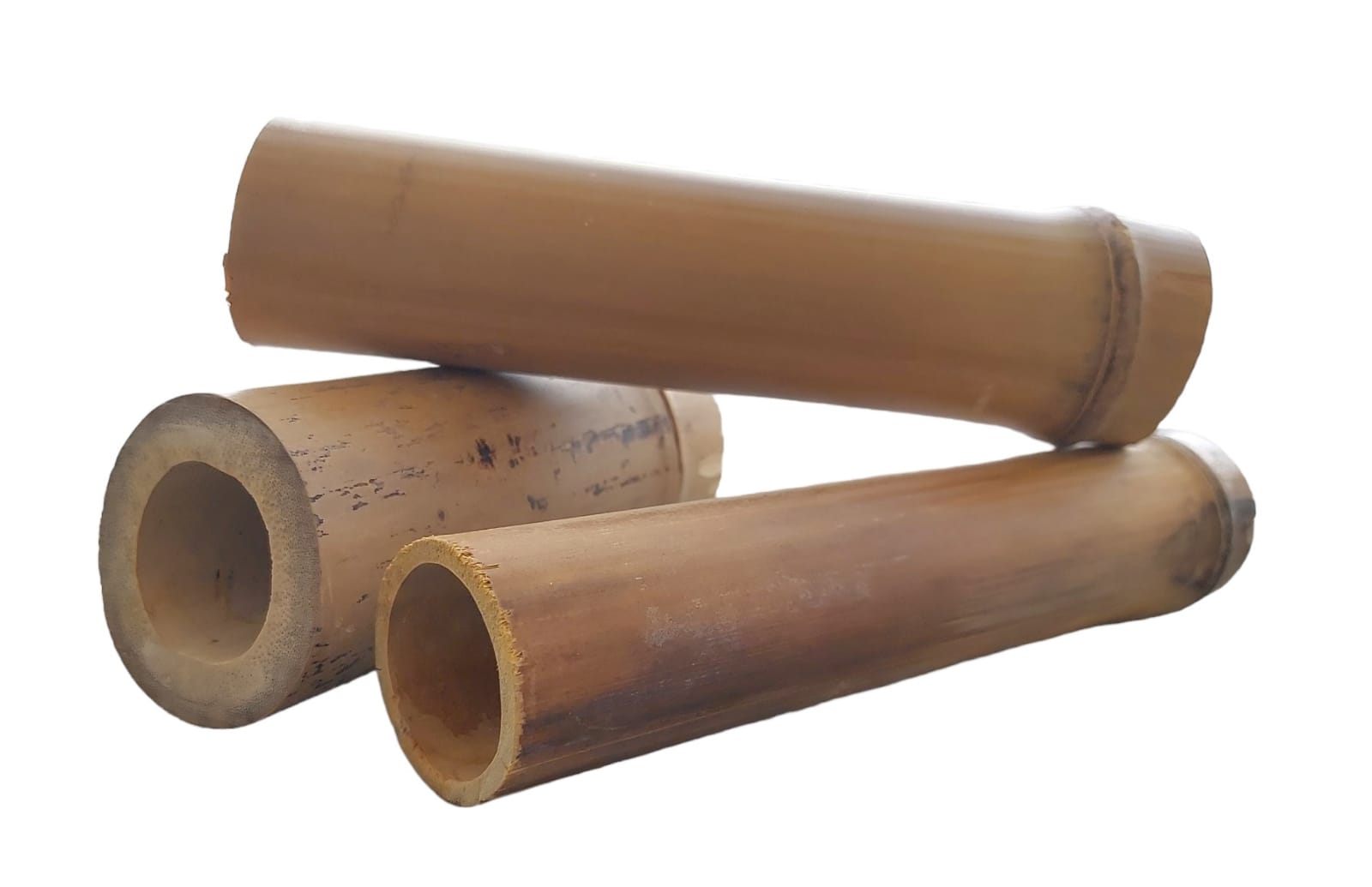Bambushöhlen für Welse und Krebse - verschiedene Größen