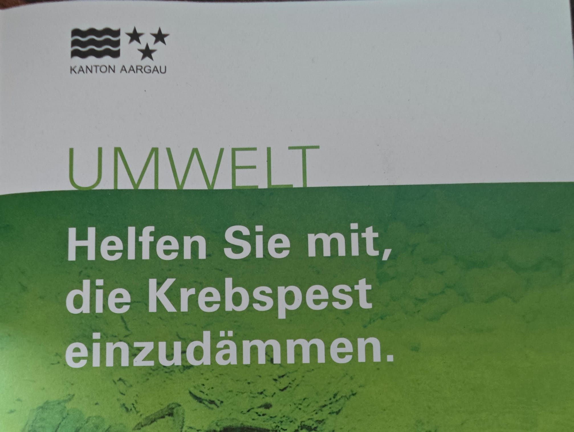 Die Krebspest - Information für Aargau