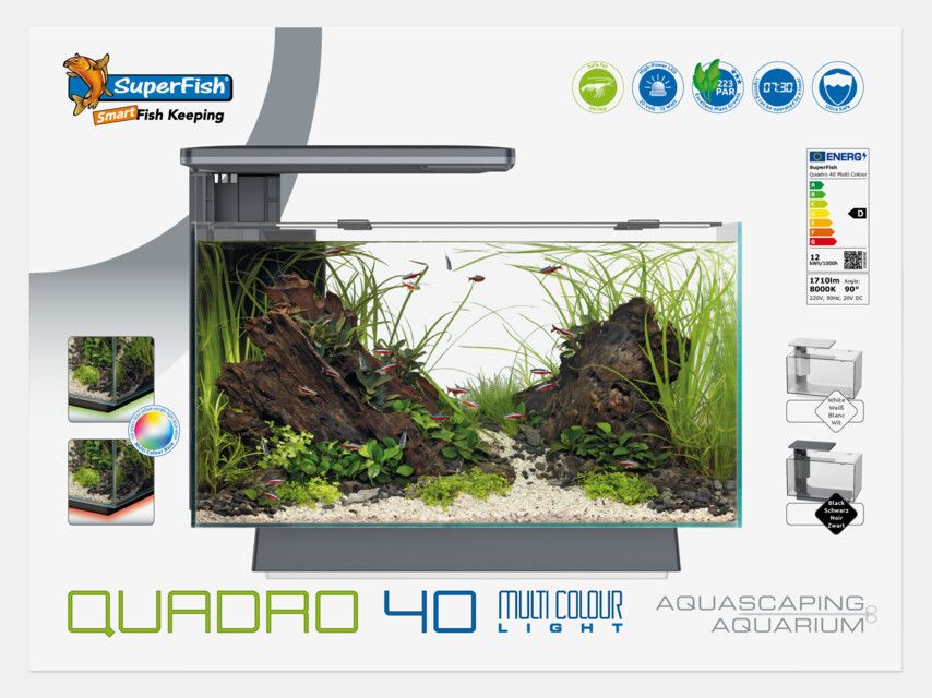 Mein erstes Aquarium - Die Basis für jeden Aquaristik Neuling