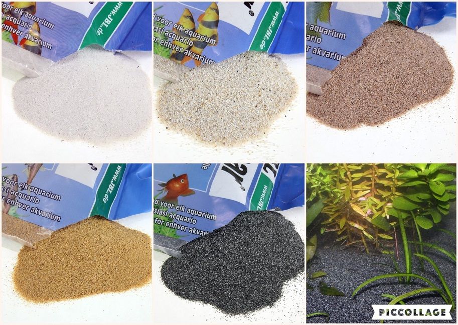 Sand als Bodengrund im Aquarium